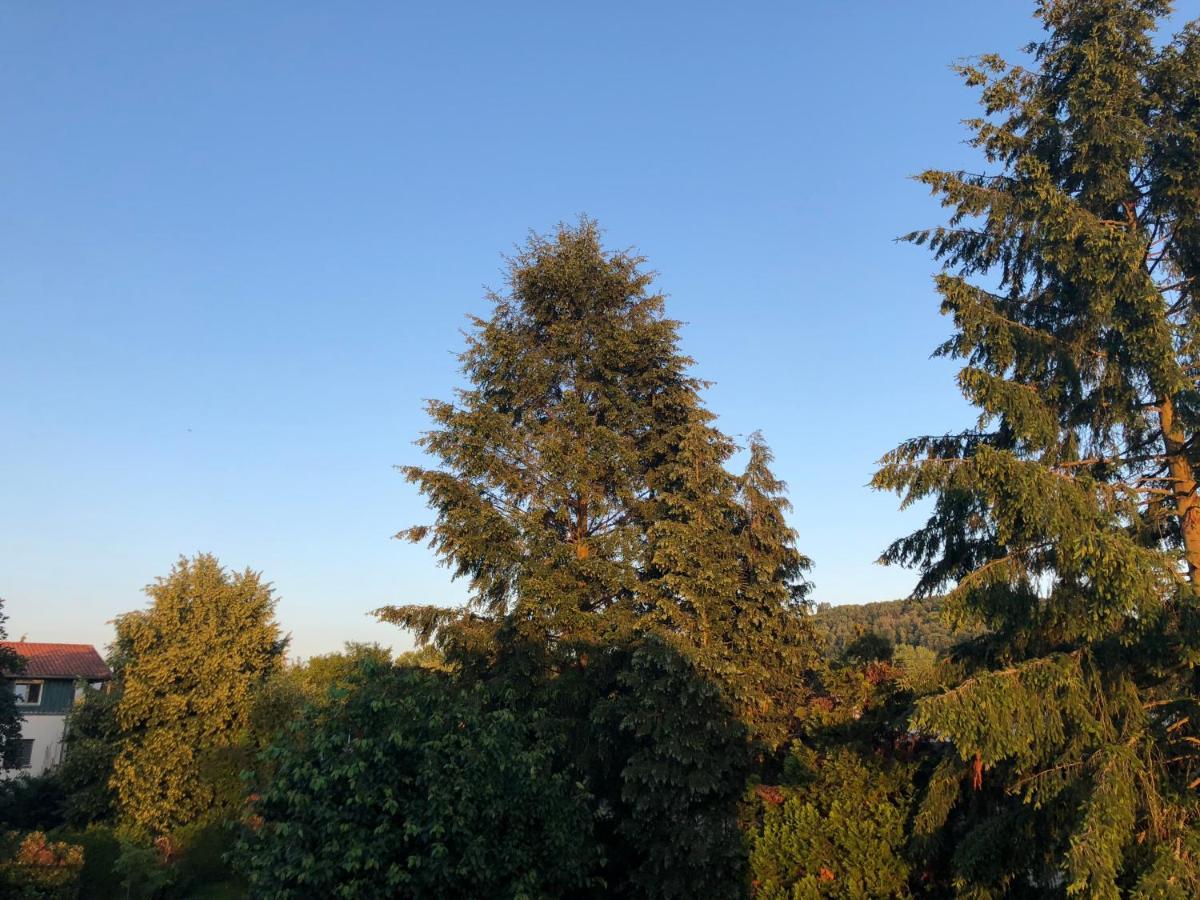 Denkys-Ferienwohnung Maulburg Esterno foto